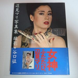 【写真集】初版 女神ふたたび 辺見マリ 写真集 1993年 竹書房