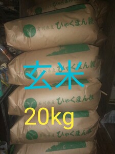 令和6年産　玄米　２０ｋｇ　噛み応え抜群　大粒品種　石川県産 ひゃくまん穀　能登米　新米　2024年　米　農家直送　　　 #コシヒカリ