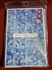 レジャーシート 70×100 氷ピクチャー　ピクニックシート　撥水加工