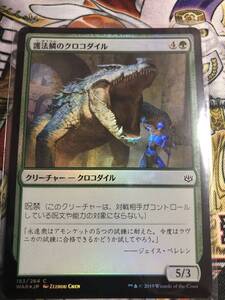 護法鱗のクロコダイル foil 灯争大戦 日本語 マジックザギャザリング MTG