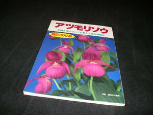 アツモリソウ　銘花100選 全国各地のマニアが教える栽培攻略法　別冊 趣味の山野草　敦盛草