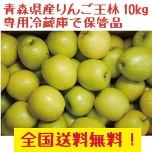 青森県産　訳あり　家庭用　りんご王林10kg　送料無料