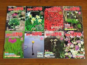 趣味の山野草 1980～1981年＋瑞光園 おもと 薄葉・大葉 葉芸の魅力 計14冊 DB9