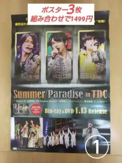 summer paradise in TDC サマパラ ポスター