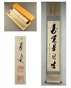 【千寿】大徳寺派 蔵雲寺 矢野一甫 春来草自生 一行書 紙本 d676◆箱/茶道具/古美術/時代品/掛軸/100025430