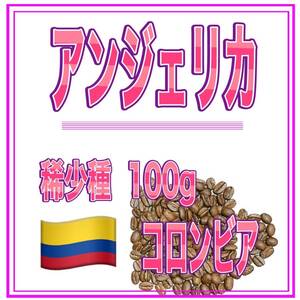 自家焙煎珈琲　アンジェリカ　100ｇ　送料無料