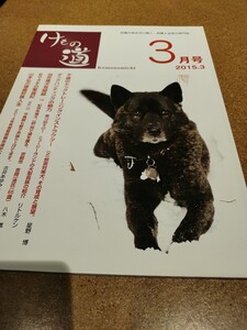 けもの道2015.3 雑誌