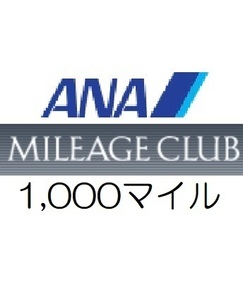 【即決 匿名】全日空ANA1,000マイル　希望の口座へ加算