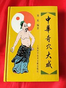 値下げ! 中華奇穴大成 劉炎 上海科学技術文献出版社 2001年発行 中文 中医学 東洋医学 中国語