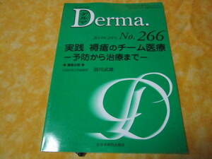 デルマ　２６６　2018年2月号　実践　褥瘡のチーム医療　予防から治療まで