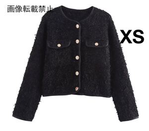 vintage ヴィンテージ レトロ メタリック ノーカラージャケット アウター XSサイズ レディース★ZARA 好きな方に★秋新作 新品未使用★