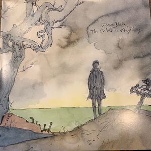 James Blake The Colour In Anything 中古レコード　二枚組