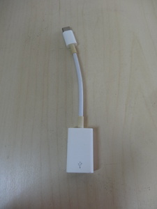 [送料無料 即決] Apple USB-C - USBアダプタ A1632 USED