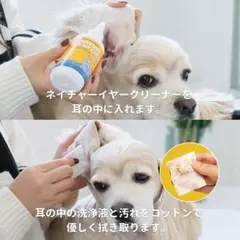 ペスルーム 猫 犬 イヤークリーナー ペット用 耳掃除 自然由来