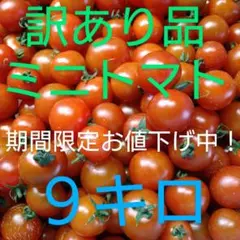 本日から期間限定！　値下げ　訳ありミニトマト　9キロ