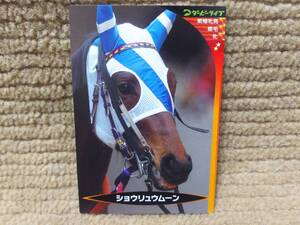 ダービーライブ 実名競馬 コレクションカード 第0弾 ショウリュウムーン