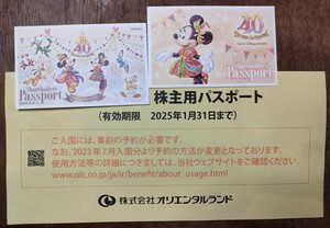 東京ディズニーリゾート　株主優待　パスポート　2枚