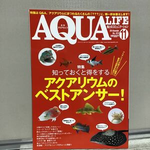 アクアライフ 2014.11 こ① アクアリウムのベストアンサー 小型の熱帯コイ サメのような魚たち 幹之メダカ のニュータイプ ベタ コンテスト