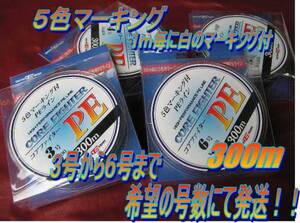 ■□PEライン　３００ｍ　３，４，５，６号！！□■