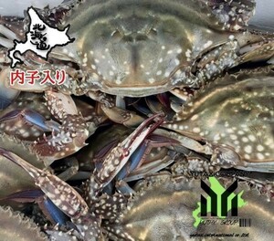 北海道産　ワタリガニ　メス内子入り　2㎏