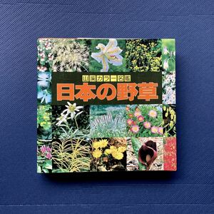 高山から海辺まで日本に自生する野草1534種を収録 山渓カラー名鑑 日本の野草 山と渓谷社 720P