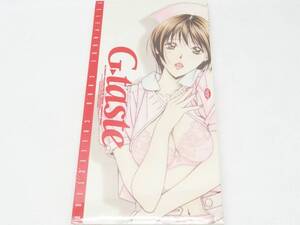 G-taste 未使用未開封 テレカ 瀬能明日香 テレホンカード4枚組 非売品 ミスターマガジン