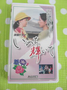 即決〈同梱歓迎〉VHS いのち輝いて 体験ドラマ シナノ企画◎ビデオその他多数出品中∞m344