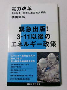 橘川武郎『電力改革：エネルギー政策の歴史的大転換』(講談社現代新書)