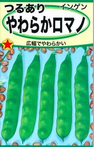 つるあり やわらかロマノ いんげん 種　【10粒】