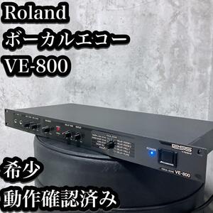 【希少】ローランド ボーカルエコー VE-800 エフェクター Roland Vocal Echo 