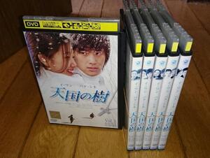 ・●天国の樹１～６　６巻　（2006年放送）　「韓国・TVドラマ・DVD６巻」　レンタル落ちDVD 