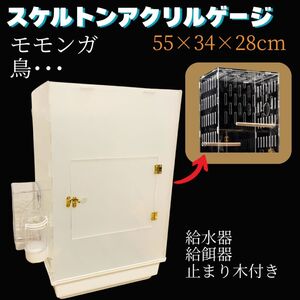 【送料無料】 アクリルゲージ 透明 小鳥 モモンガ 小動物 飼育 新品 給水器 給餌器付き 新品 止まり木 ケージ ケース 鳥かご