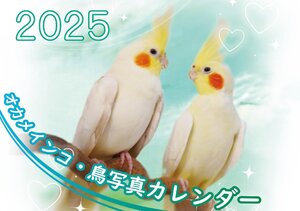 オカメインコ鳥写真カレンダー2025　B6サイズ。ワンタッチで卓上にも壁掛けにもなる3Wayカレンダー