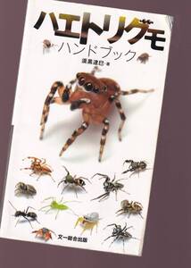 【傷みあり】　ハエトリグモ・ハンドブック　須黒達巳　文一総合出版　(蝿取蜘蛛　ハエトリクモ