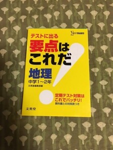 【定期テスト対策】テストに出る要点はこれだ！ 地理 【美品】