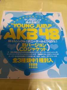 付/ヤングジャンプ2010/AKB48 16thシングル「ポニーテールとシュシュ」別バージョンCDジャケット/未開封