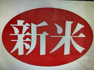 令和６年新米☆☆いのちの壱(超大粒)☆酵素散布米　いのちの壱 玄米２４.5キロ