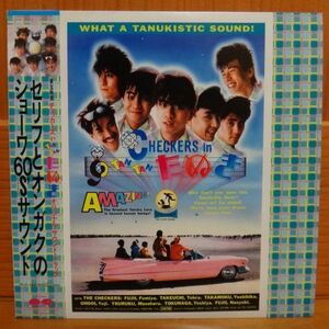 チェッカーズ/チェッカーズ IN 「TAN TAN たぬき」　LP