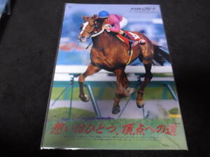 JRA ヒーロー列伝No.53 ナリタトップロード クリアファイル 新品未開封 2015年来場ポイント