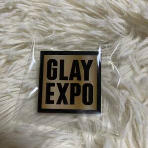 GLAY EXPO 2024 ランダムバラエティグッズ ピンバッジg