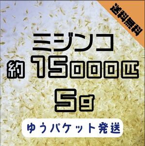 【送料無料】ミジンコ約15000匹　5g