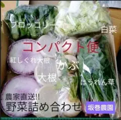 農家直送 野菜詰め合わせ 宅急便コンパクト