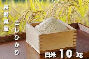 新米【白米】令和5年長野県産コシヒカリ10キロ 棚田米 精米したてをお届け!!