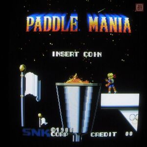 1円〜 エスエヌケイ/SNK パドルマニア PADDLE MANIA 動作確認済【20