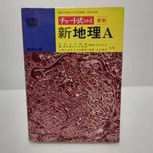 チャート式シリーズ 新地理A 新制　市川正巳・正井泰夫 共著