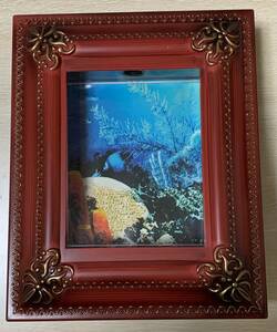 魚が動く PHOTO　FRAME　AQUARIUM