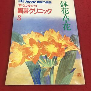 e-229※14 別冊NHK趣味の園芸 1987年3月号 すぐに役立つ園芸クリニック 3 鉢花・草花…等 日本放送出版協会