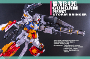 MG 1/100 ストームブリンガーP.F. パーフェクトガンダムカラー 塗装済完成品　バンダイ