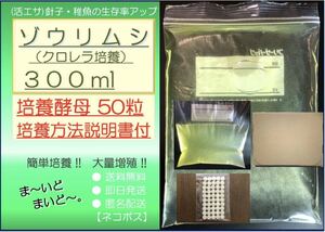 ●送料無料 匿名配送 即日発送● ゾウリムシ クロレラ培養 300ml +ビール酵母 50粒　【めだか 針子 稚魚 金魚 シュリンプ 熱帯魚】活餌