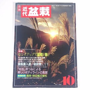 月刊 近代盆栽 No.132 1988/10 近代出版 雑誌 盆栽総合誌 園芸 ガーデニング 植物 特集・センスアップで盆栽を飾る 瑞祥・秋の植え替え